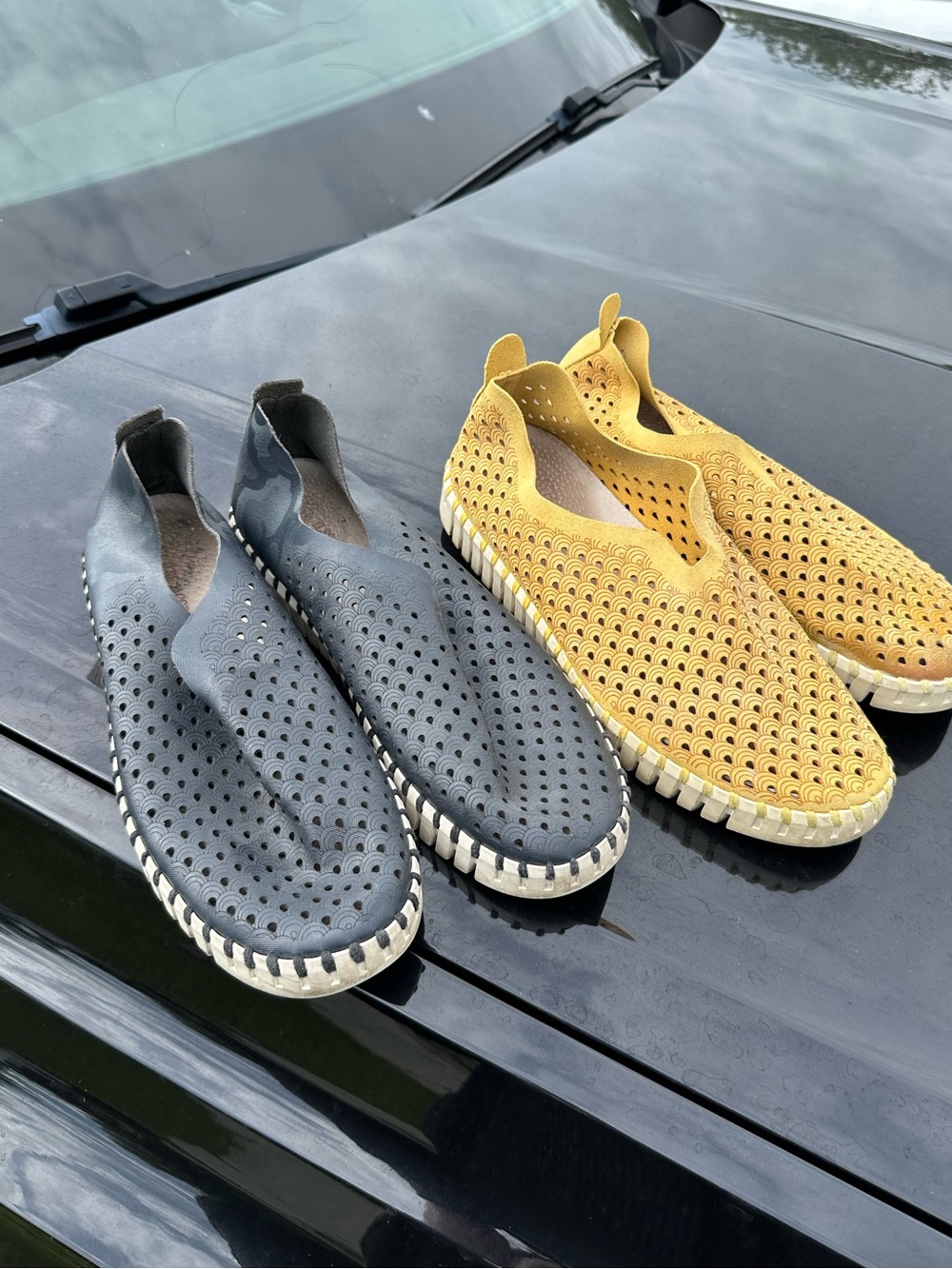 Ilse Jacobsen flat bundle